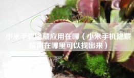 小米手机隐藏应用在哪（小米手机隐藏应用在哪里可以找出来）