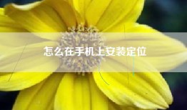 怎么在手机上安装定位