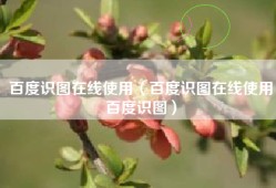 百度识图在线使用（百度识图在线使用百度识图）