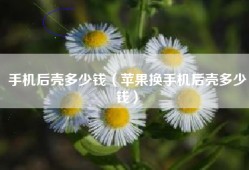 手机后壳多少钱（苹果换手机后壳多少钱）
