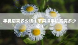 手机后壳多少钱（苹果换手机后壳多少钱）