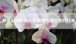 百度启动自我改革 搜索引擎巨变时代来临？