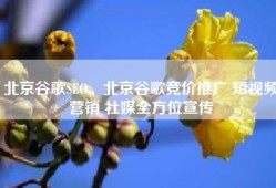 北京谷歌SEO、北京谷歌竞价推广 短视频营销 社媒全方位宣传