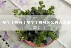 多个手机号（多个手机号怎么导入通讯录）