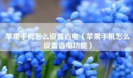 苹果手机怎么设置省电（苹果手机怎么设置省电功能）