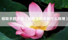 磁吸手机支架（磁吸手机支架什么原理）