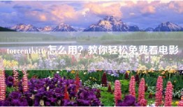 torrentkitty怎么用？教你轻松免费看电影