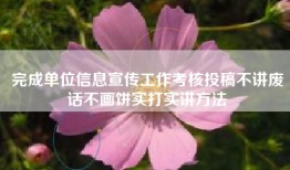 完成单位信息宣传工作考核投稿不讲废话不画饼实打实讲方法
