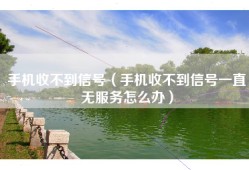 手机收不到信号（手机收不到信号一直无服务怎么办）