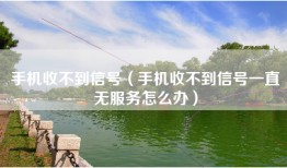 手机收不到信号（手机收不到信号一直无服务怎么办）