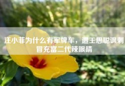 汪小菲为什么有军牌车，遭王思聪讽刺冒充富二代辣眼睛