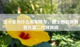 汪小菲为什么有军牌车，遭王思聪讽刺冒充富二代辣眼睛