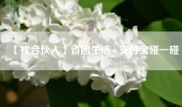【找合伙人】省团生活+支付宝碰一碰