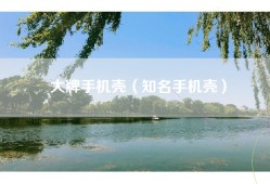 大牌手机壳（知名手机壳）