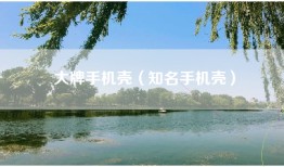 大牌手机壳（知名手机壳）