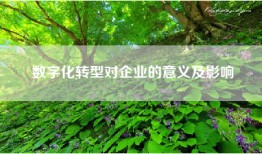 数字化转型对企业的意义及影响