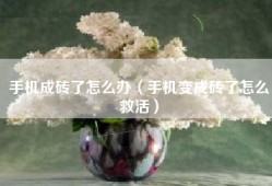 手机成砖了怎么办（手机变成砖了怎么救活）