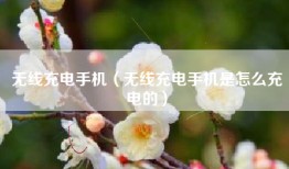 无线充电手机（无线充电手机是怎么充电的）