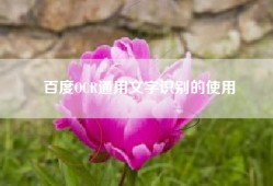 百度OCR通用文字识别的使用