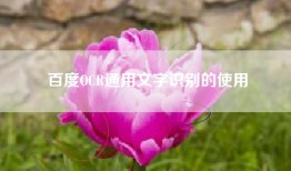 百度OCR通用文字识别的使用