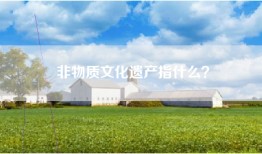 非物质文化遗产指什么？