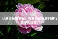 从星图金融谈起，看金融企业如何进行数字化经营？