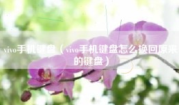 vivo手机键盘（vivo手机键盘怎么换回原来的键盘）