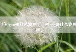 手机ram是什么意思（手机ram是什么意思啊）