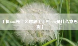 手机ram是什么意思（手机ram是什么意思啊）