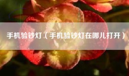 手机验钞灯（手机验钞灯在哪儿打开）
