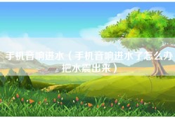 手机音响进水（手机音响进水了怎么办把水震出来）