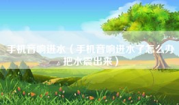 手机音响进水（手机音响进水了怎么办把水震出来）