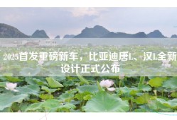 2025首发重磅新车，比亚迪唐L、汉L全新设计正式公布