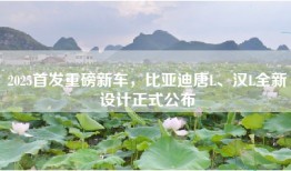 2025首发重磅新车，比亚迪唐L、汉L全新设计正式公布