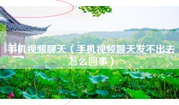 手机视频聊天（手机视频聊天发不出去怎么回事）