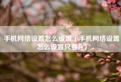 手机网络设置怎么设置（手机网络设置怎么设置只要4g）