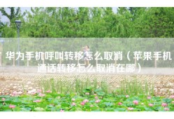 华为手机呼叫转移怎么取消（苹果手机通话转移怎么取消在哪）