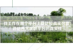 找工作在哪个平台上找比较真实可靠：评估各大求职平台的真实性