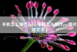 手机怎么制作ppt（手机怎么制作ppt图片加文字）