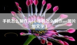 手机怎么制作ppt（手机怎么制作ppt图片加文字）
