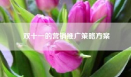 双十一的营销推广策略方案