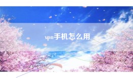 vpn手机怎么用