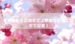 苹果手机怎么调中文（苹果手机怎么调中文设置）