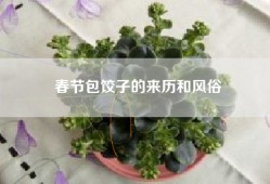 春节包饺子的来历和风俗