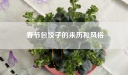 春节包饺子的来历和风俗