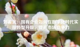 刘善武：国有企业如何在数字化时代实现转型升级、提高市场竞争力