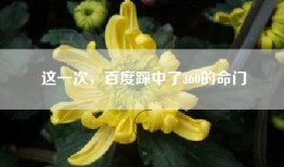 这一次，百度踩中了360的命门
