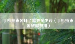 手机扬声器坏了修要多少钱（手机扬声器维修费用）