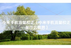 小米手机流量校正（小米手机流量校正是什么意思）