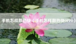 手机怎样散热快（手机怎样散热快OPPO）